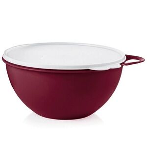 Tupperware Thasta Medium Bowl